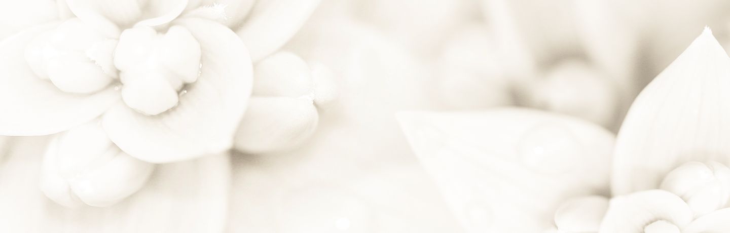 My Blog